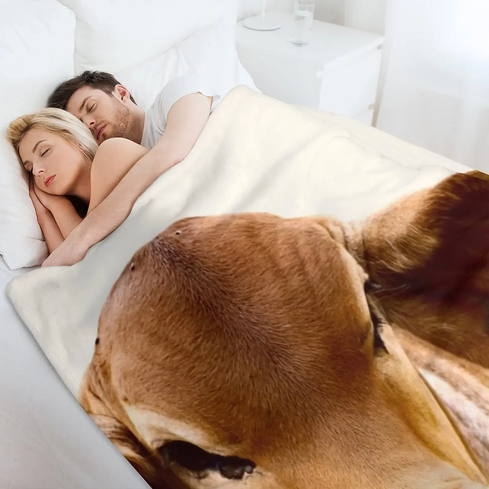 برهمان كالف، بورتريه رمي بطانية المعزي المرجح فروي زينة عيد الميلاد البطانيات