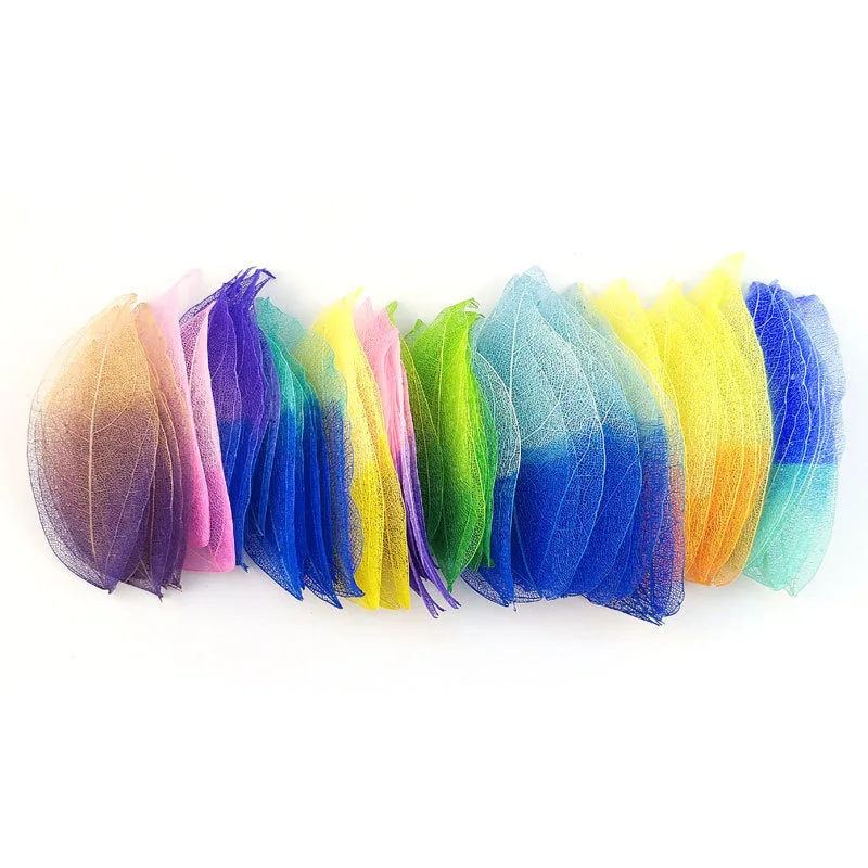 White Diamond Vein Magnolia Leaves, Natural Preserved Leaves, Handmade Dried Flowers, Colorful Mesh Bleached Leaf Specimens