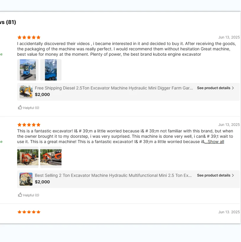 

2.5T Mini Excavator - CE Certified, Customized & Factory Direct with Global Shipping and Tech Support