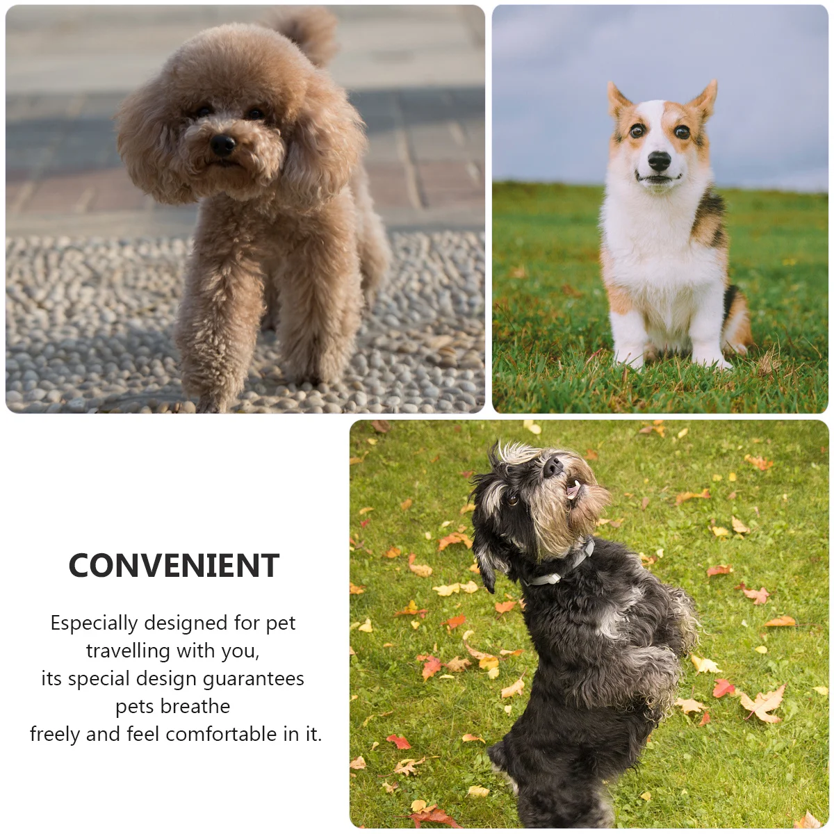 

1pc Pet Backpack Blue Small Portable Dog Carrier Breathable Wear-Resistant Scratch-Proof Foldable Shoulder Strap For Left Right