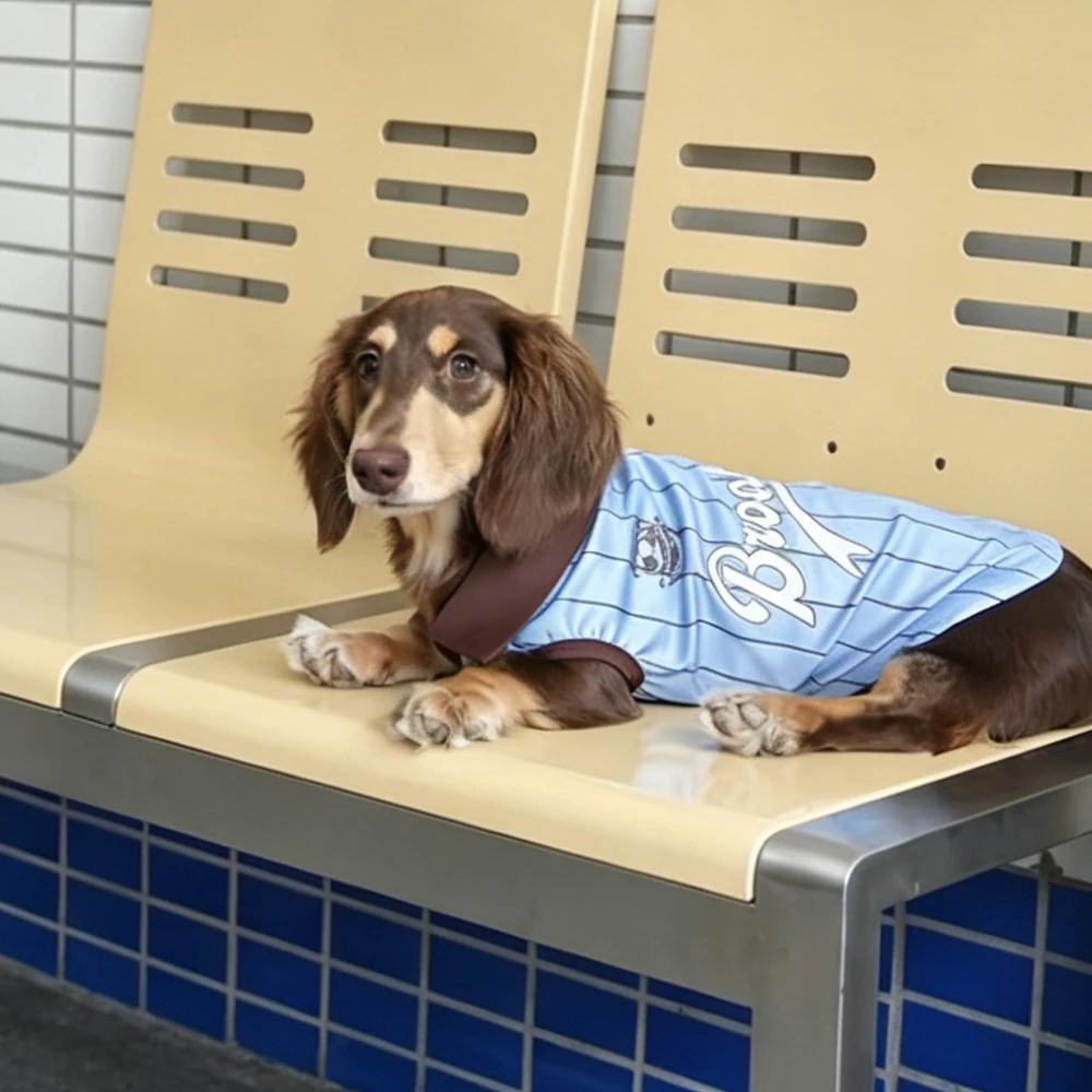 Camiseta deportiva sin mangas a rayas para perros salchicha Dachshund