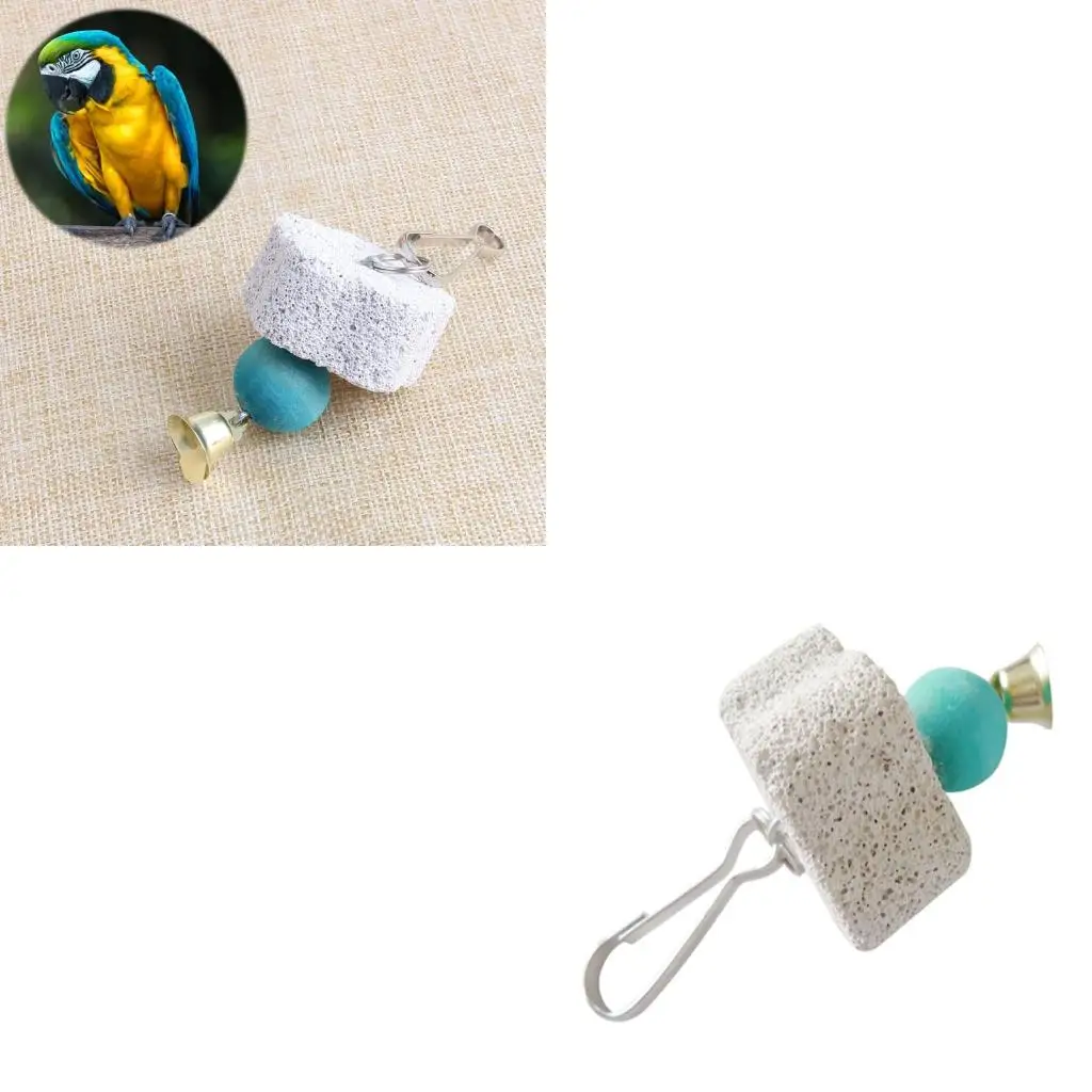 حجر كالسيوم على شكل ببغاء الطيور مع لعبة مضغ جرس للهامستر السنجاب شينشيلا #1