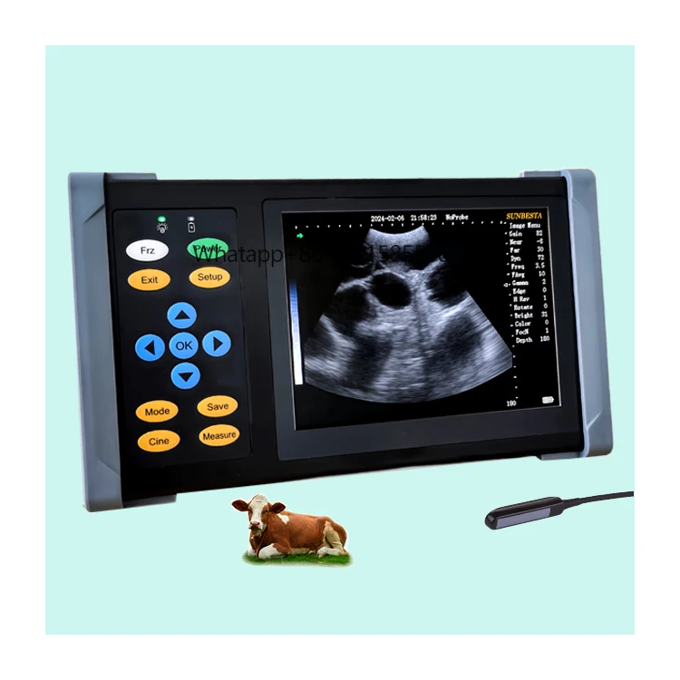 

RS-A20 Portable Vet Ultrasound Rectal Linear Probe Cow Horse Ultrasound Machine Bovine Ultrasound Diagnosis