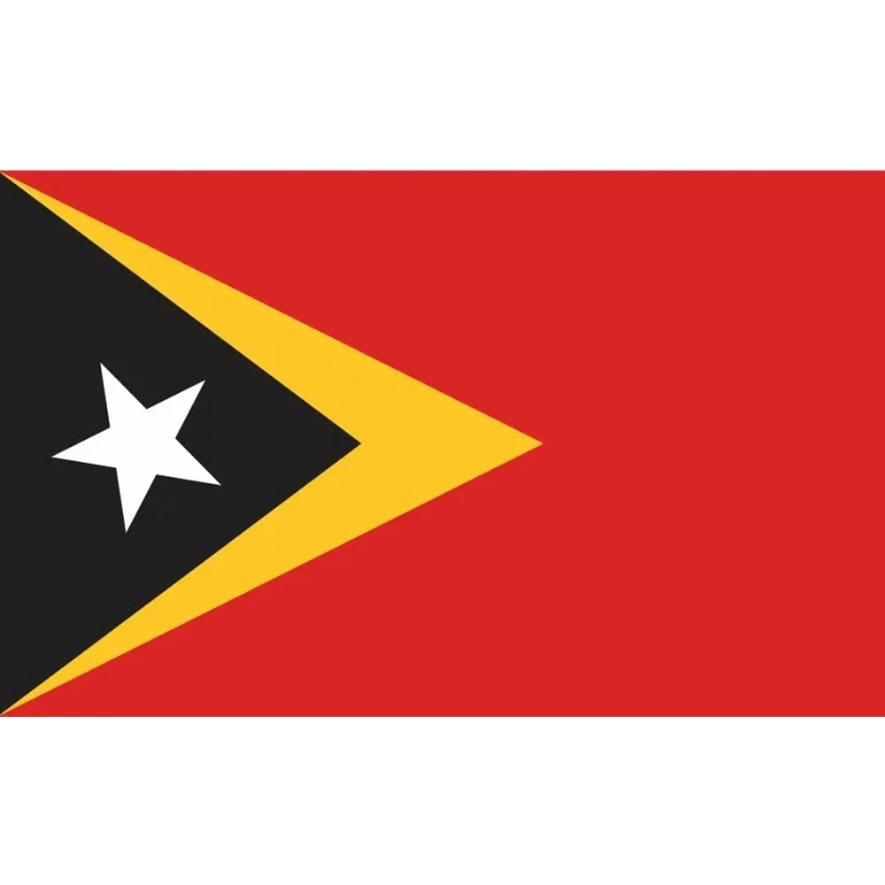 2X3FT East Timor Flag Large Outdoor 90x150cm Banner Flag custom FLAG