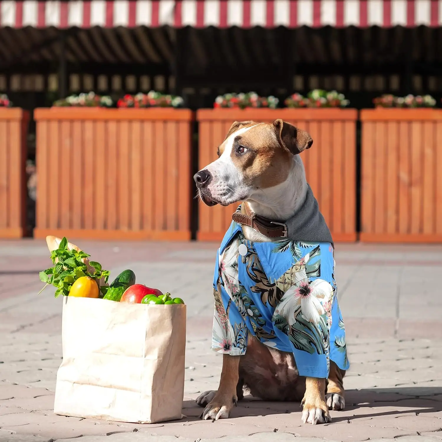 

Pet Summer T-Shirts Hawaii Style Floral Dog Shirt Printed Pet T-Shirts Breathable Cool Clothes Beach Seaside Sweatshirt