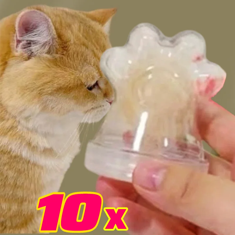 

2/10Pcs Pet Hair Storage Box Paw Shape Pet Fur Storage Box Memorial Gift Transparent Pet Fur Keepsake Dog Cat Hair Storage Case