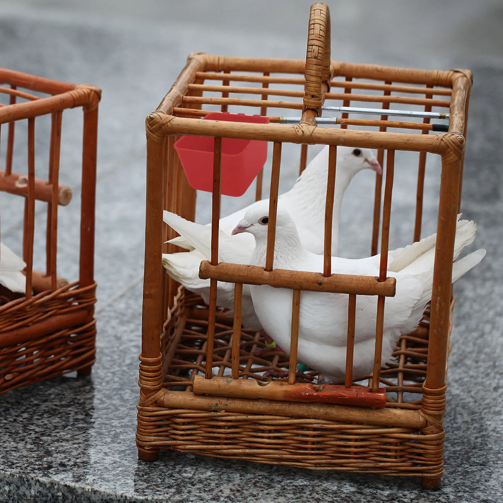 

10 шт. прочных полиэтиленовых кормушек для птиц: для голубей, попугаев, зябликов, для использования в клетках, для еды и воды, с защитой от брызг и укусов