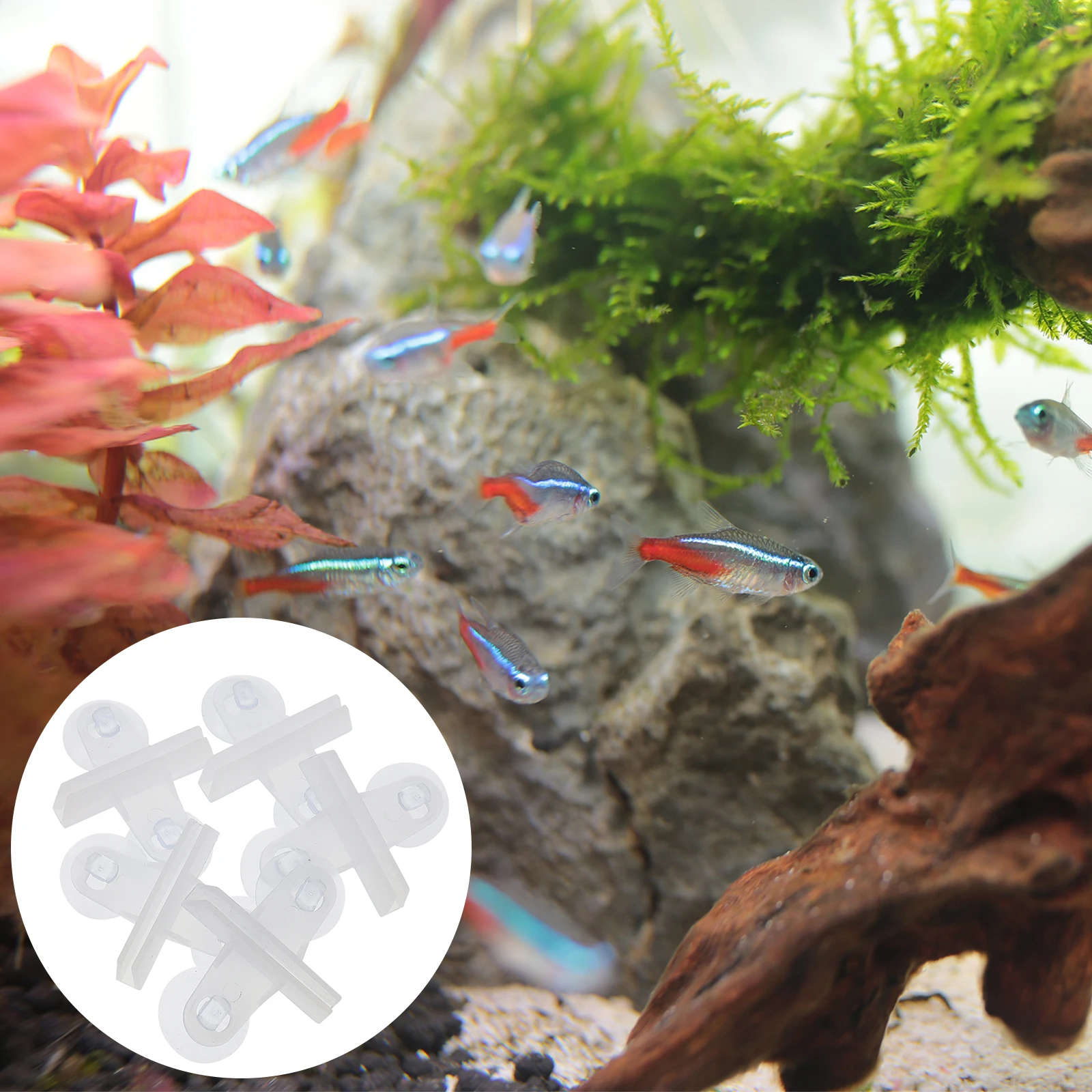 

5pcs Fish Tank Glass Suction Cup Divider Aquarium Grid Clamps Separator Premium Clips Saltwater Freshwater Tanks