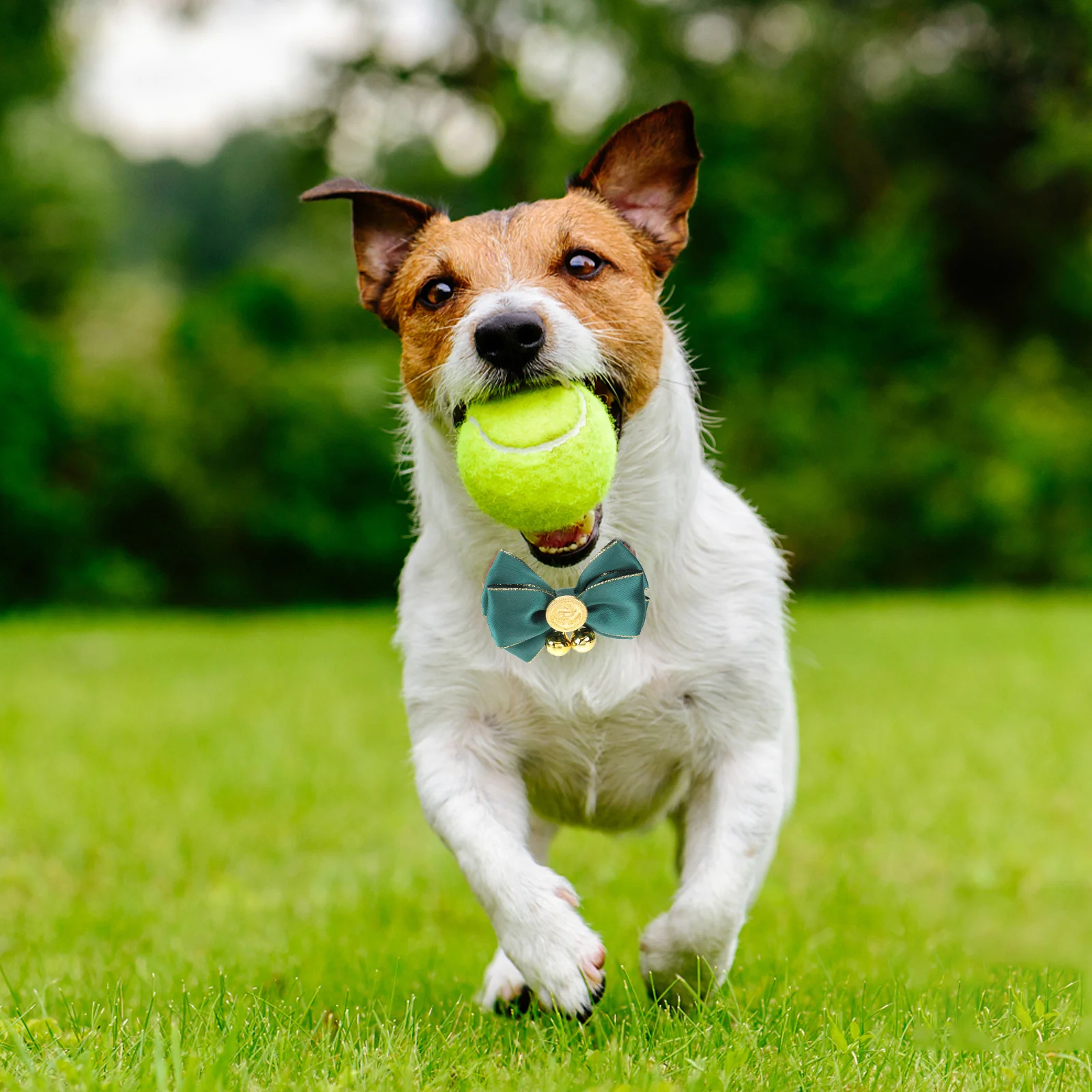 

Vintage Pet Collar Durable Chic Bow-Knot Bell Puppy Neck Accessory For Dog Walking Outdoor Pet Supplies