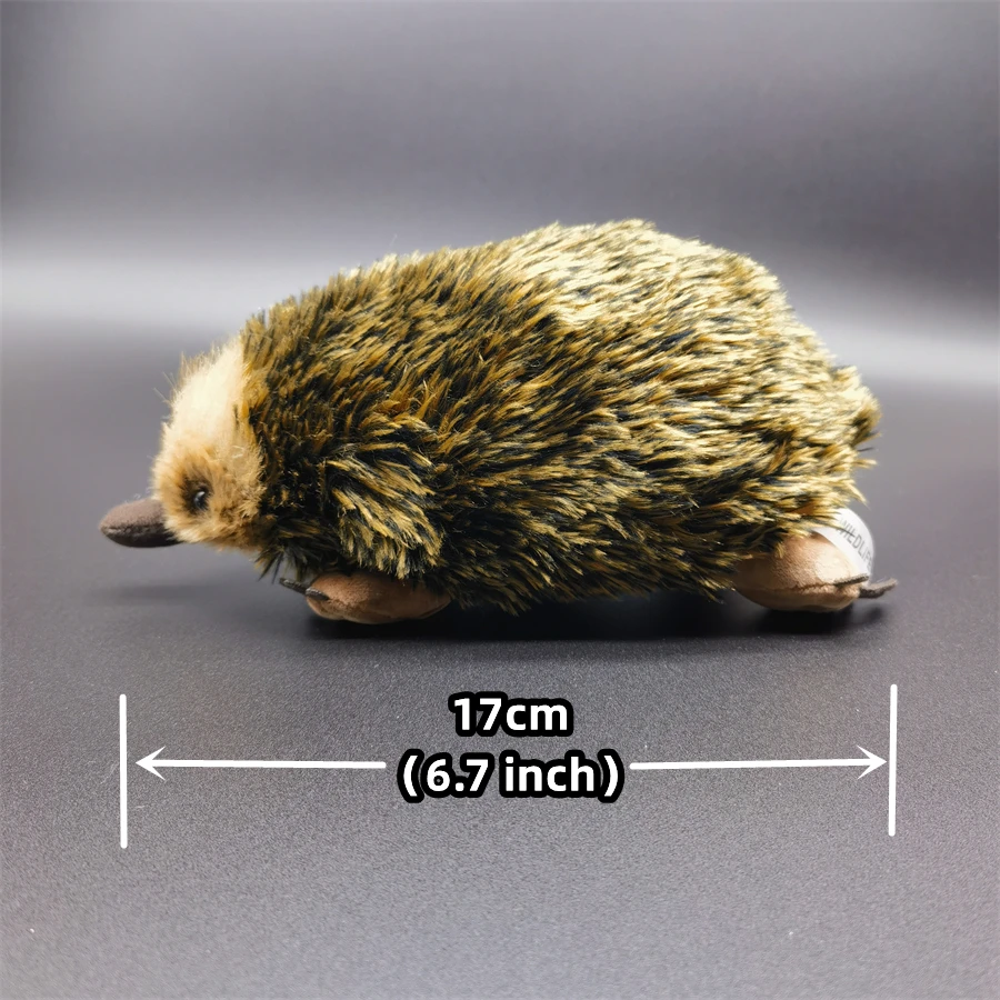 Realistisches Echidna-Plüschtier, Maulwurf-Plüschtier, lebensechter stacheliger Ameisenbär, Stofftier, Echidna-Simulationspuppe, Geschenk