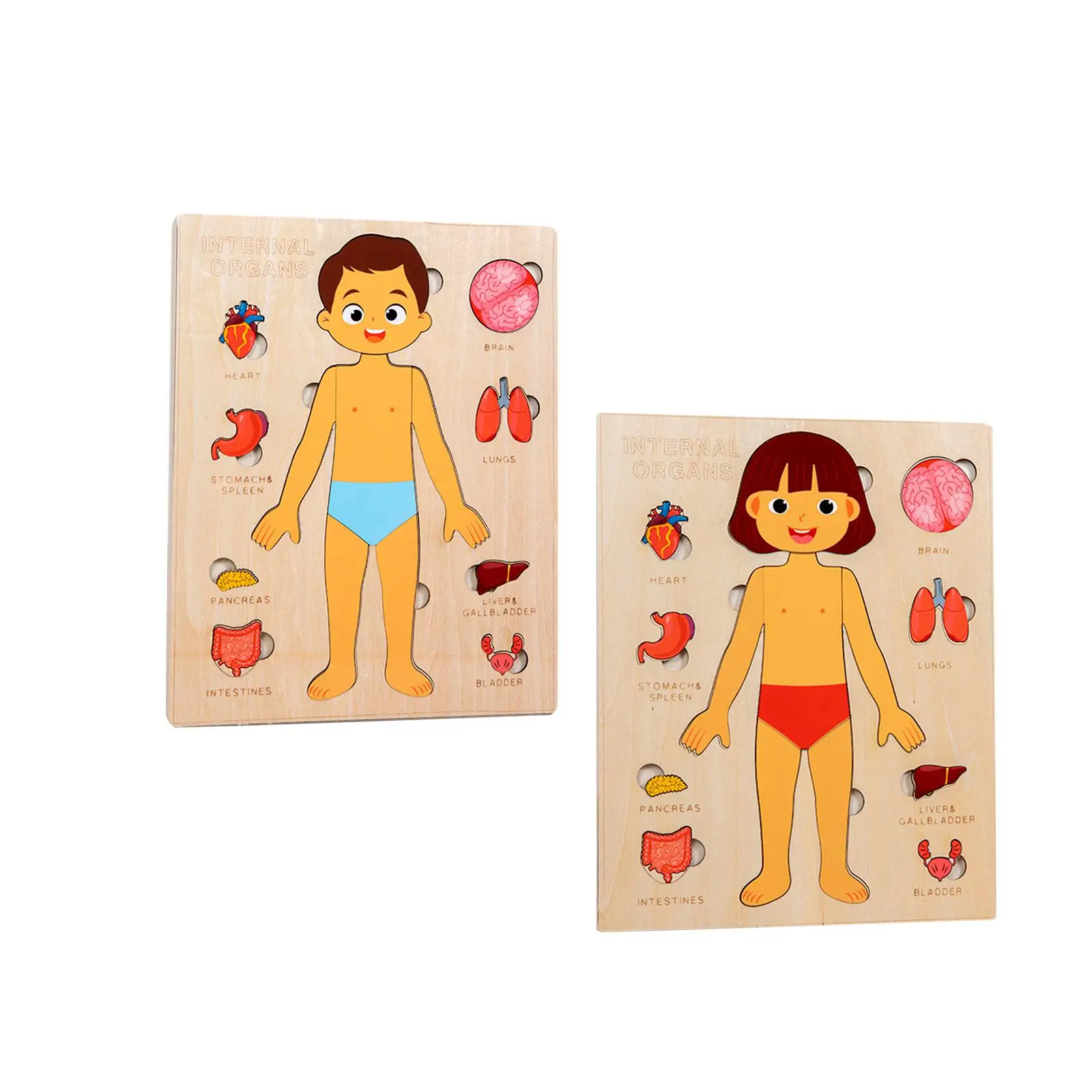 

Wood Puzzle Human Body Toy Body Organ Awareness Wooden Toy Skeleton Model Learning Body Parts for Preschoolers Birthday Gift