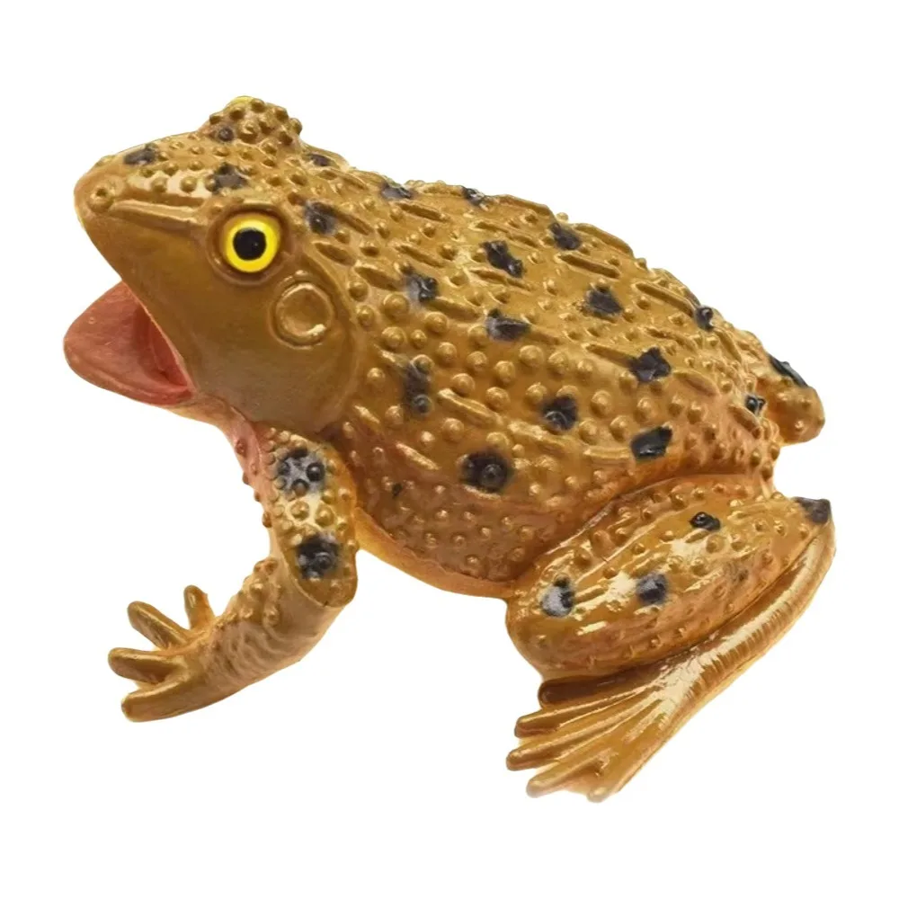 Plastic Simulation Frog Toy Realistic Texture Interactive Frog Squeak Toy Multiple Colors Lifelike Appearance Toad Figurine