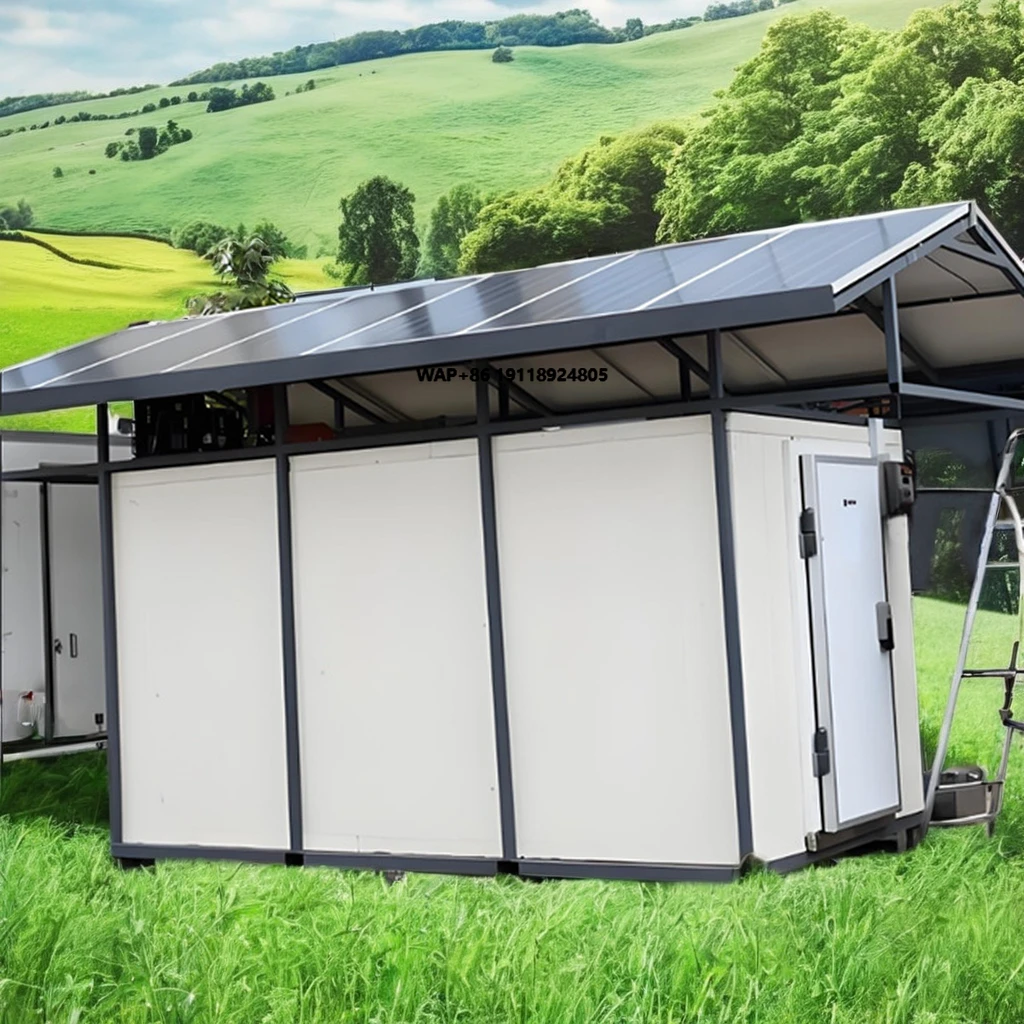 

Small to Large Off-Grid Solar Cold Storage Equipment for Agricultural Products Fresh Meat Fish Vegetables Fruits Seafood Etc.
