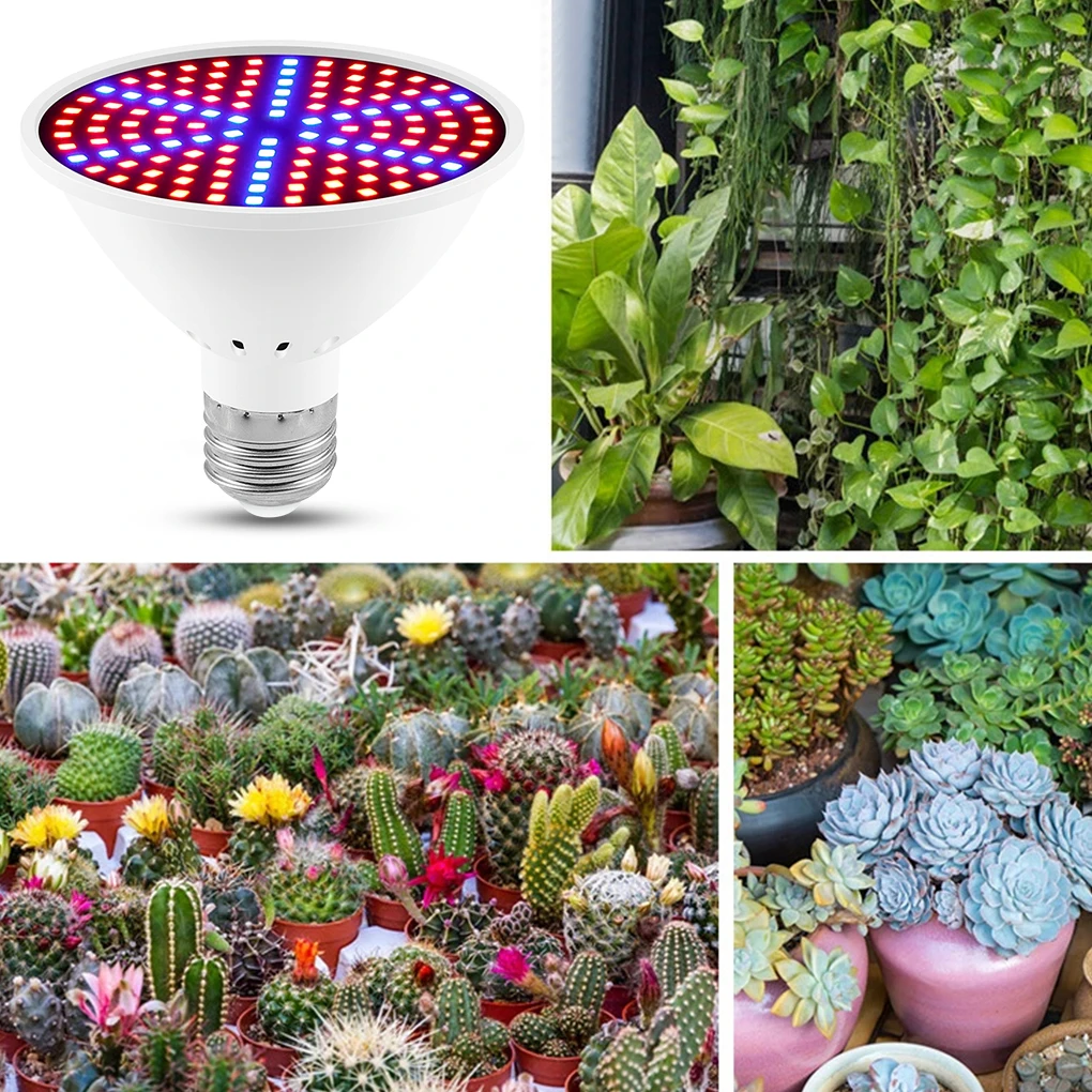หลอดไฟ E27สำหรับ Grow ผักในร่มห้องนั่งเล่นปลูกต้นไม้ในร่มโคมไฟสเปกตรัมสีแดงสีน้ำเงินอุปกรณ์สำหรับบ้าน200เม็ด