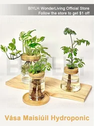 Hydroponic Glass Vase for Plant Cultivation Home Decoration Desktop Decoration Small Flower Pot Garden Accessories Pot for Plant