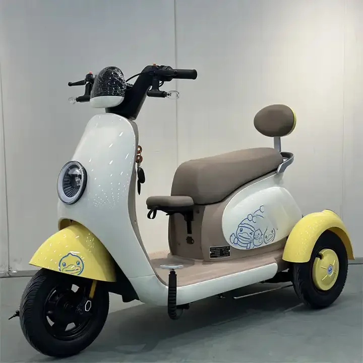 Hot Sale Electric Tricycle Bike Adult 3 Wheel Electric Bicycle with Fat Tire Electric Tricycle with Roof