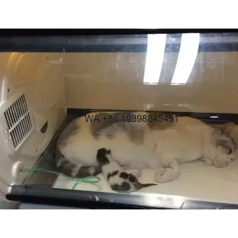 Wmwmnu Pet Hyperbaric Oxygen for Dog Cat Veterinary Oxygen Equipment