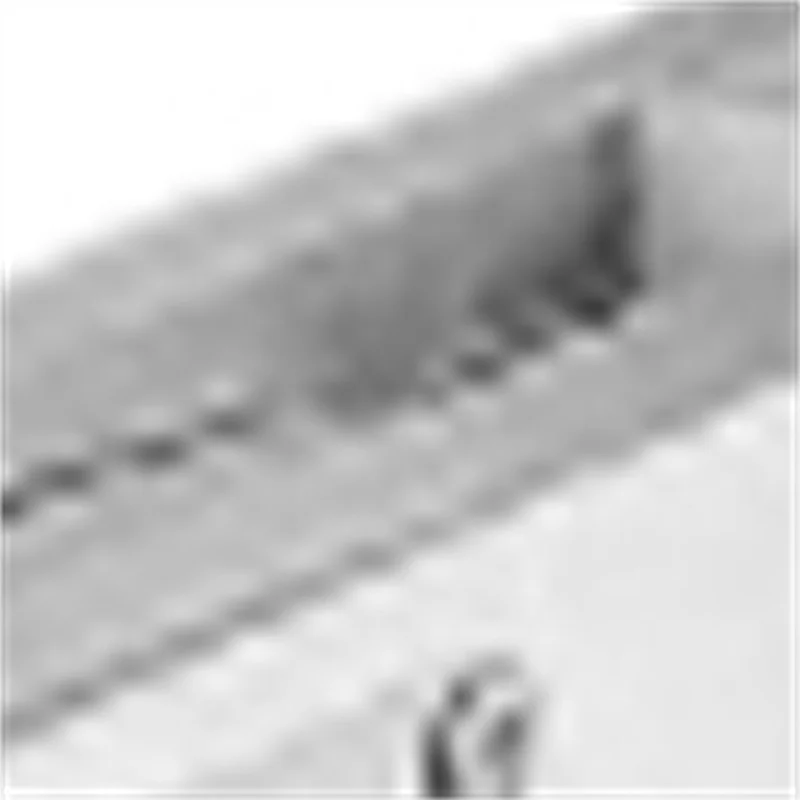 ماكينة تقطيع لحوم الدجاج الخام اليدوية المنزلية ماكينة قطع العظام