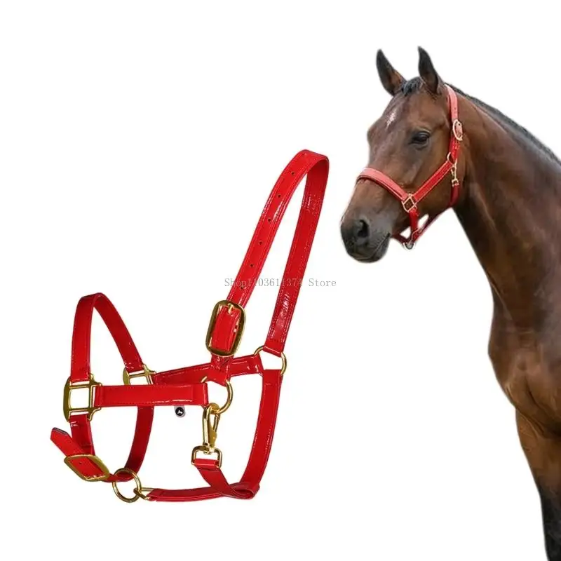 Golden Metal Buckle Horse Bridle Elegent Leather Construction Easy To Clean And Smell Resistant For Ridings Comfortable