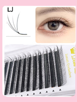 5D Wild False Eyelashes Multi-layer Mink Eyelash Extensions LB LC LJ Curl High Quality Eyelashes Premade fan Individual Lashes