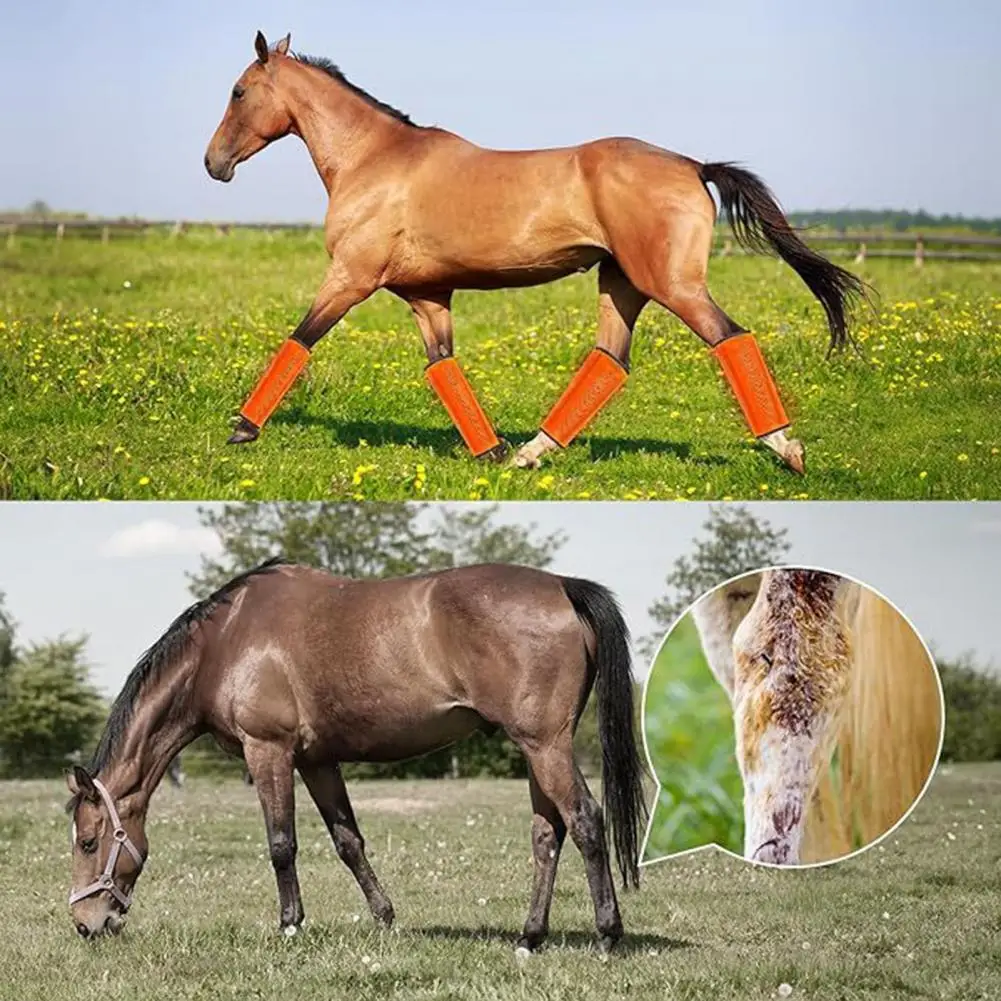 Cubiertas repelentes de moscas para caballos, protección contra moscas para caballos, juego de botas para moscas de caballo de malla transpirable, equino para reducir el pezuña