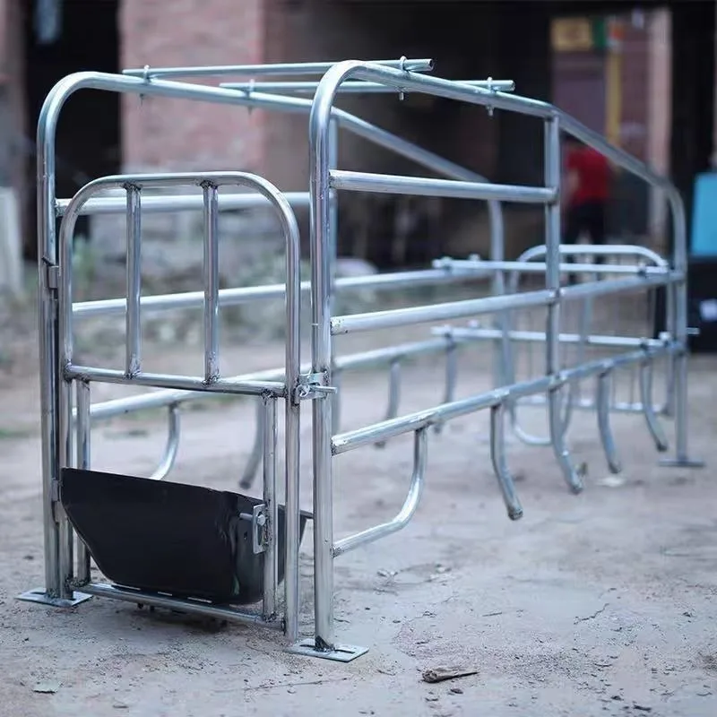 

Thickened sow farrowing bed with trough drinking water integrated, a complete set of sow farrowing beds for pigs