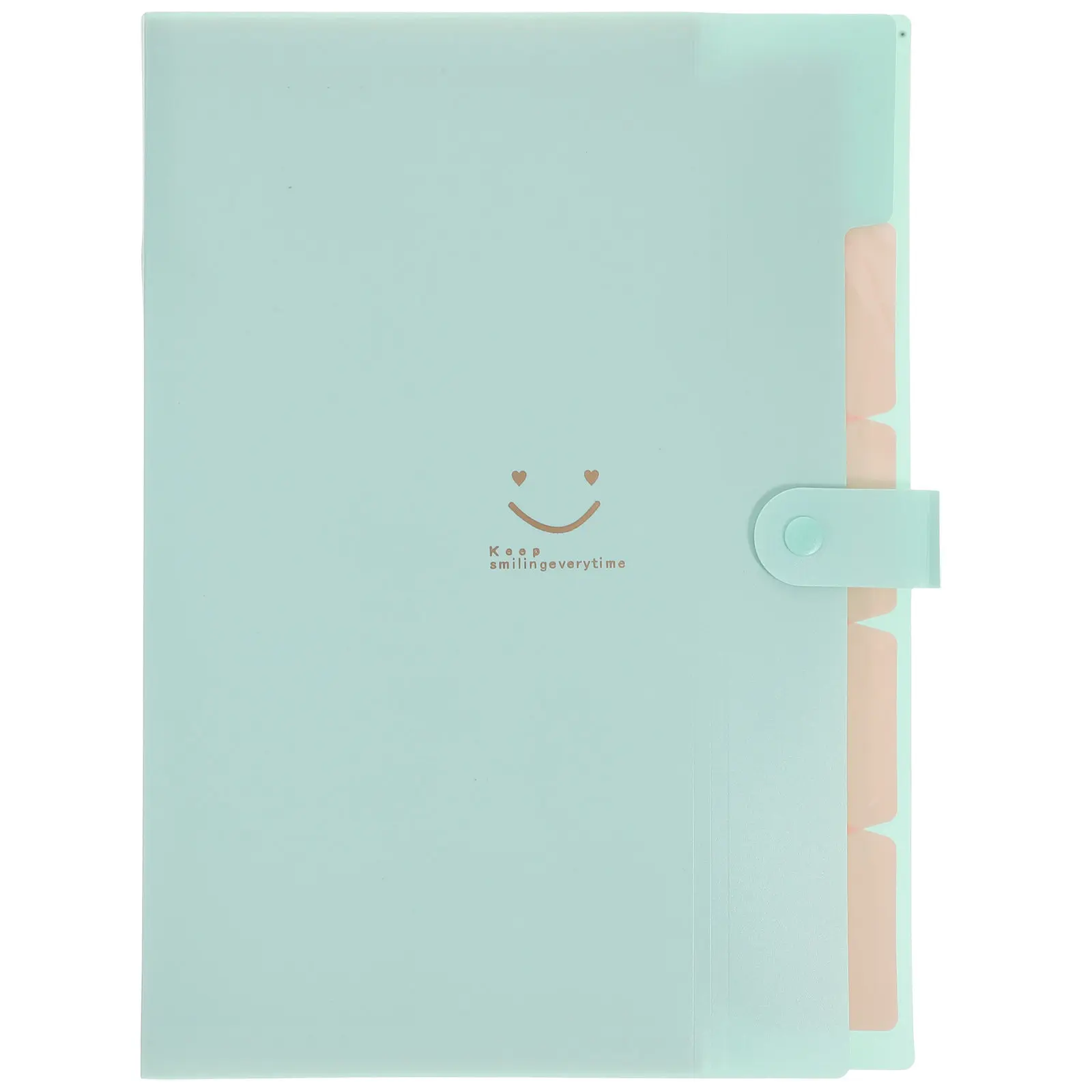 

Папка-органайзер пластиковая на 5 карманов с застежкой-кнопкой, формат А4, для документов, для дома, офиса, школы