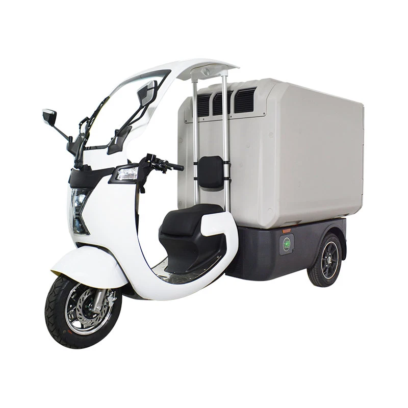 Electric Refrigerator Three-wheel Truck with Fully Closed Custom Cargo Box, Cold Chain Vegetable Preservation Delivery