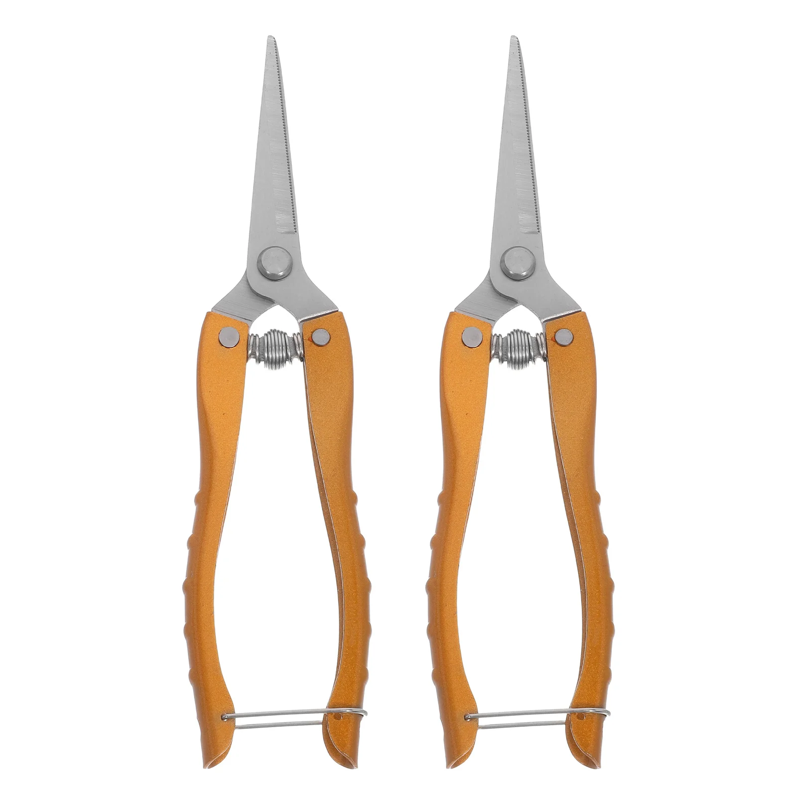 Рисунок 4 - ручные секаторы, инструменты из