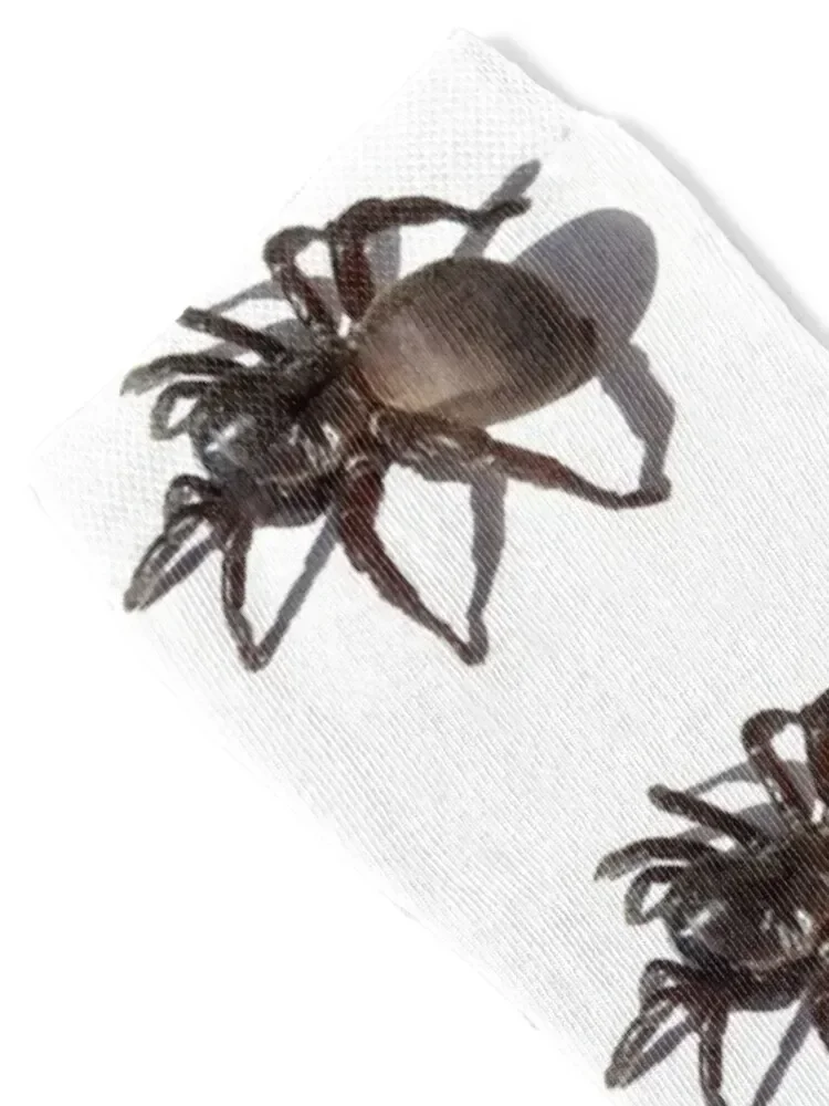 Tarantula Socks fashionable Novelties hip hop Rugby Socks For Men Women's