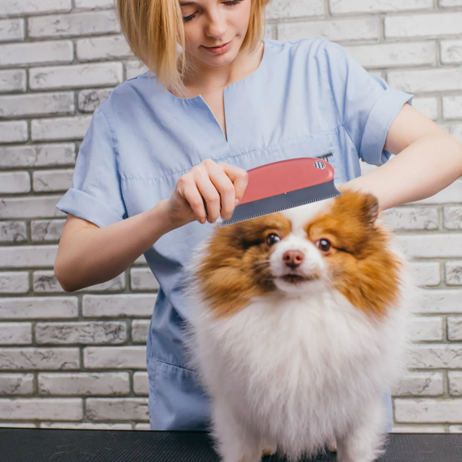 

2Pcs Pet Brush Shedding Grooming Hair Removing Brush for Dog Cat Deep Clean Massage Skin Detangling Comb Self Cleaning