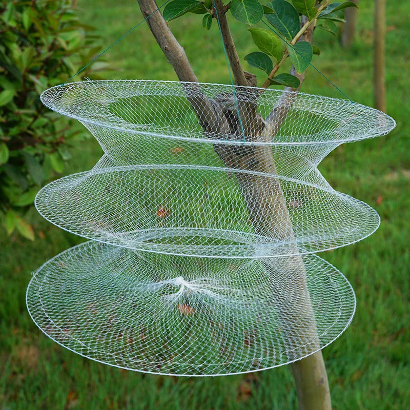 Three Circles Of White Shrimp Fishing Nets Lobster Fishing Nets Folding Simple Crab And Fish Cages Fish Bags Fishing Nets
