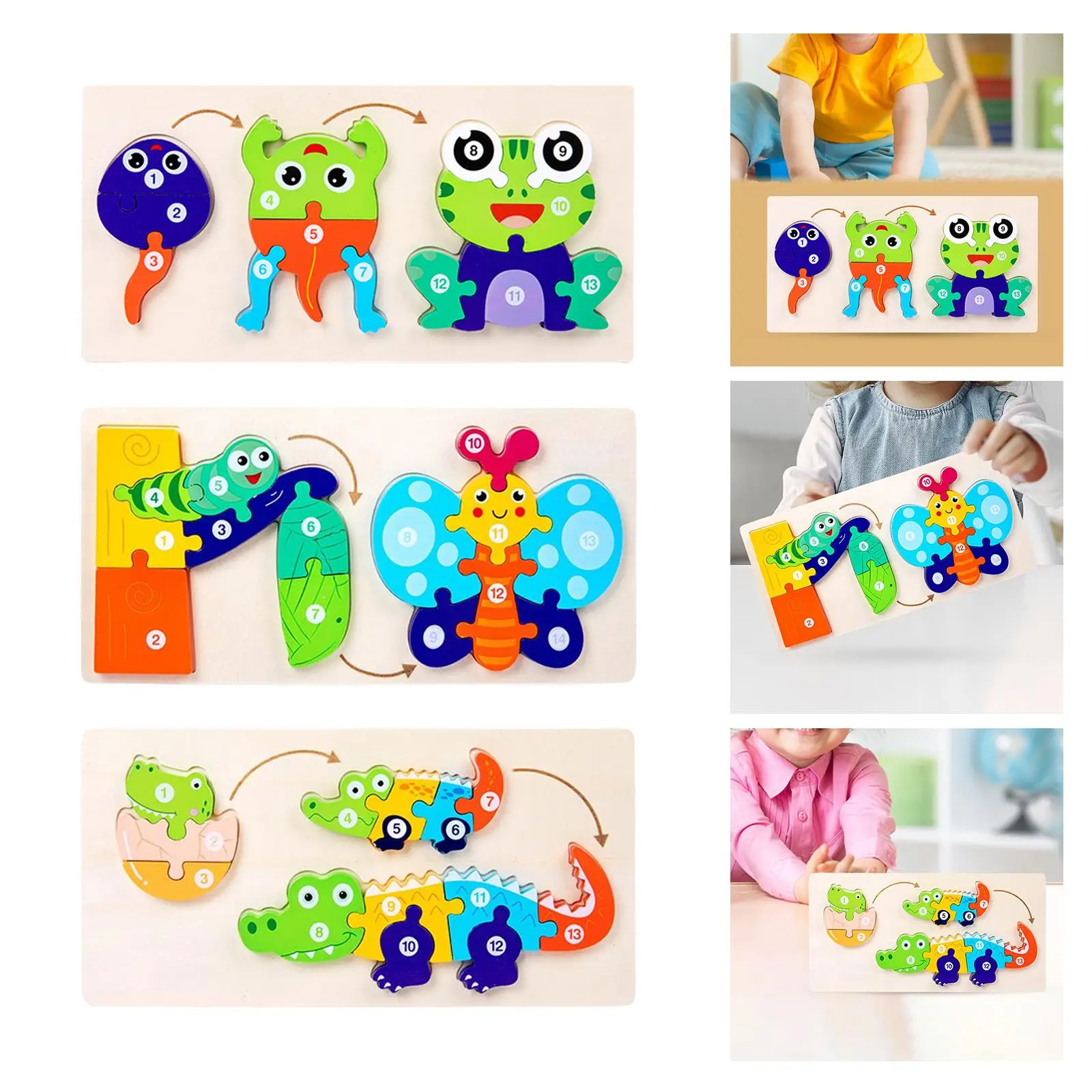 Animla のライフ サイクル パズル 動物の認識 創造性 想像力