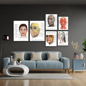 Giải phẫu và sinh lý khuôn mặt nữ, gối cơ bắp và cơ bắp, chất làm đầy da và poster Hội trường thẩm mỹ Botox. 12 ống tiêm Botox bán hàng chính - №3