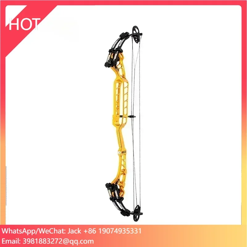 

Sanlida Archery Pro Level Target Compound Bow Kit with Accessories Gold Solid Draw Wall Universal Edition