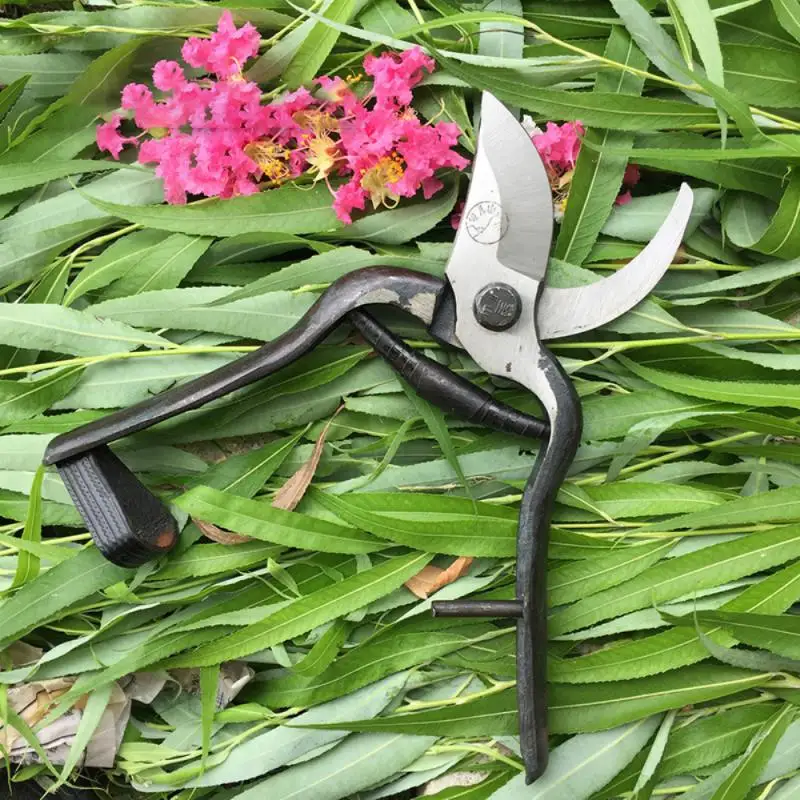 1PC Spare Spring Pruning Shears Stainless Steel Silkworm Type Steel Skin Pruning Grafting Scissors Components Garden Accessories