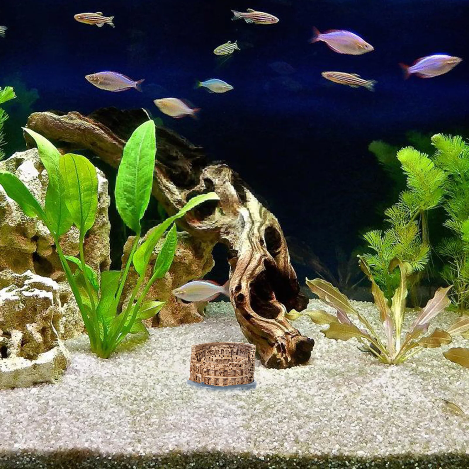

Stunning Roman Colosseum Resin Miniature Ancient Architecture Statue for Aquarium Tabletop Decor Handmade Detail