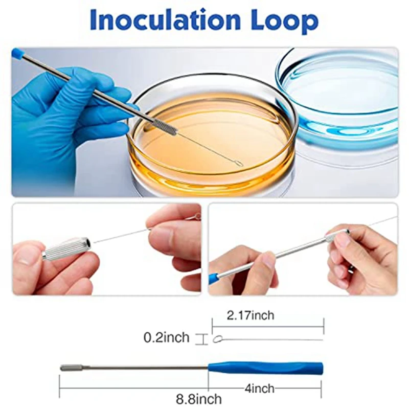 Petri Dish Glass With Lids 60Mm X 15Mm, Pack Of 10 Petri Dish Glass With Reusable Inoculating Loop, Glass Petri Dish Durable