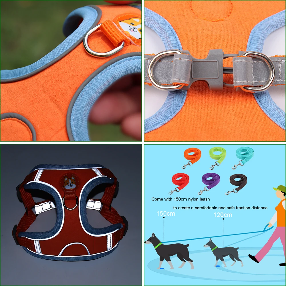 Thumbnail 3 - #47 Budget Puppy Leads for Smart Shoppers