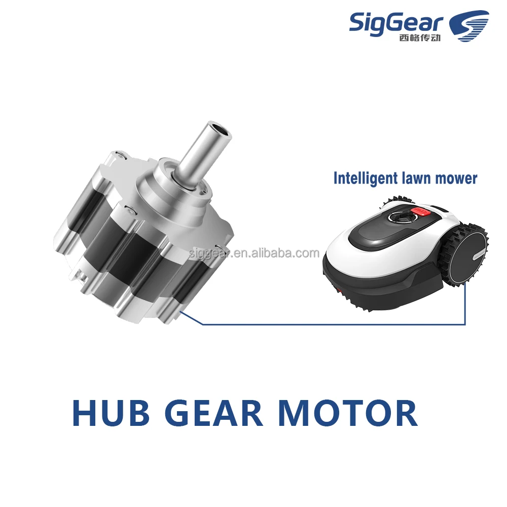 24V 120RPM 9Nm Hub Gear Motor High Torque Wheel Drive For Lawn Mower Snow Blower Pool Cleaner AGV And Outdoor Mobile Robot OEM