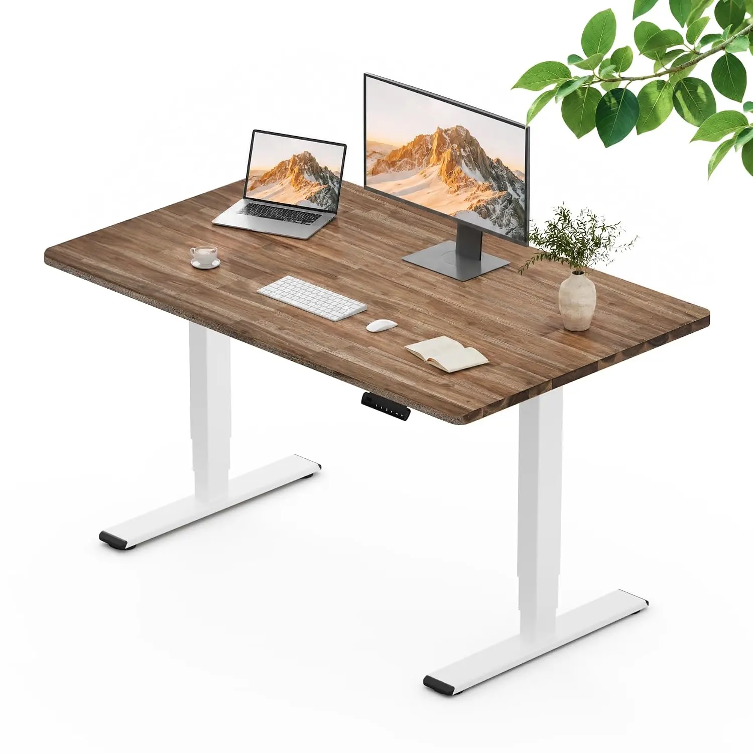 Acacia Wood Standing Desk Dual Motor 55x27in 220 lbs Adjustable Height 3-Stage Leg 4 Memory Presets Home Office, Customized