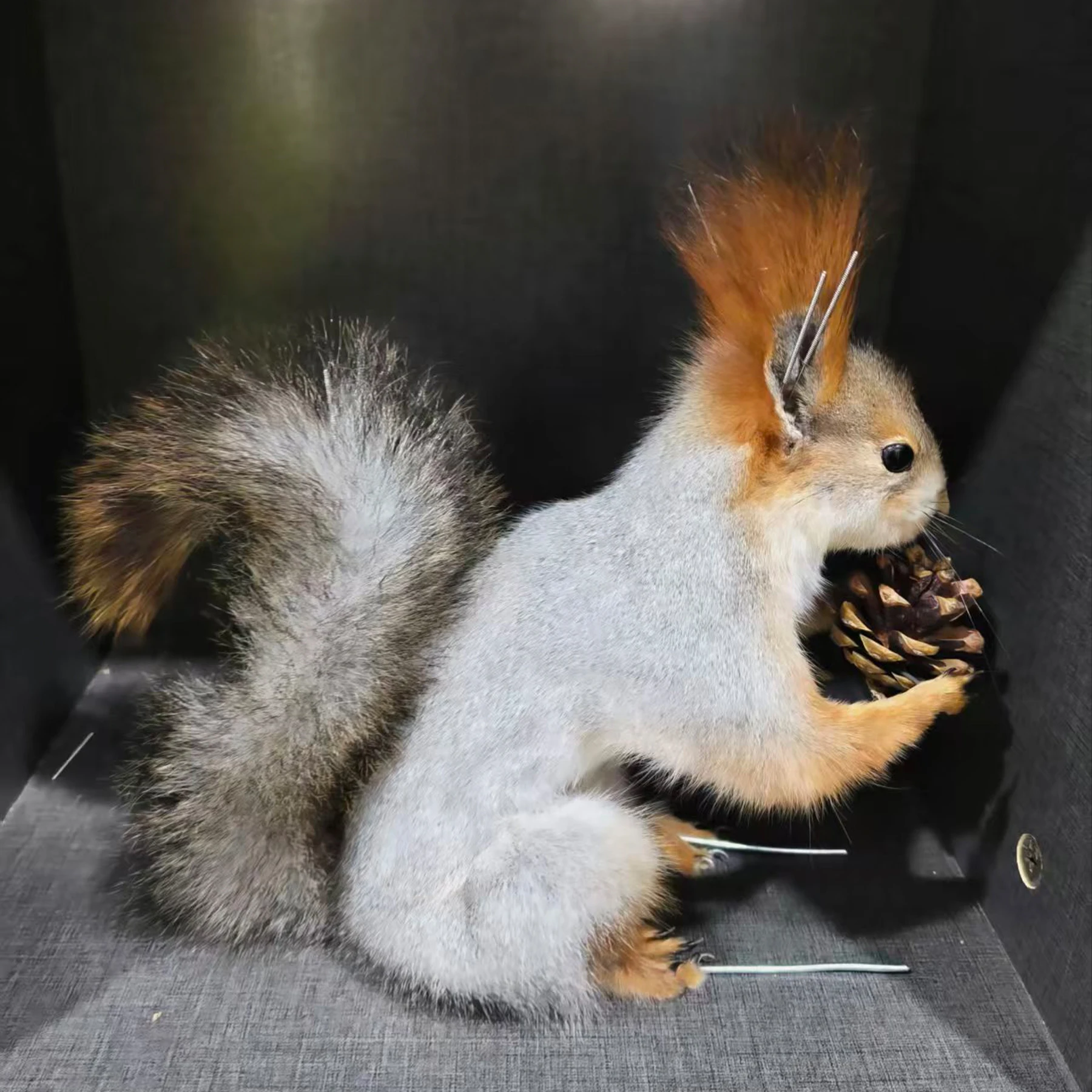 2076 Boutique Gothic Style Artificial Squirrel Statue on Faux Wood Stand Resin Craft Ornament Unique Handmade Decor Halloween