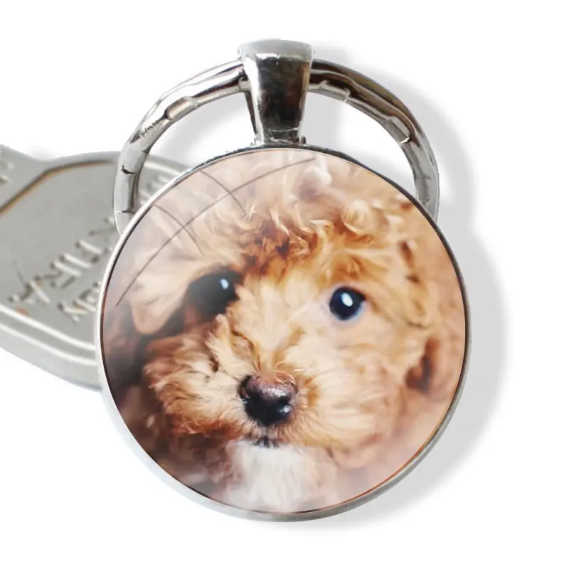 Keychain Handmade Glass Cabochon Key Ring Holder Pendant Key Chains Poodle dog Fashion Design Creative Cartoon