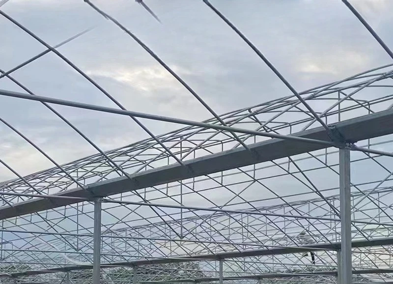 2025All'ingrosso di cornici per serra in vetro - Capannone per serra multipiano collegato con ombreggiatura di fiori per piantare uva