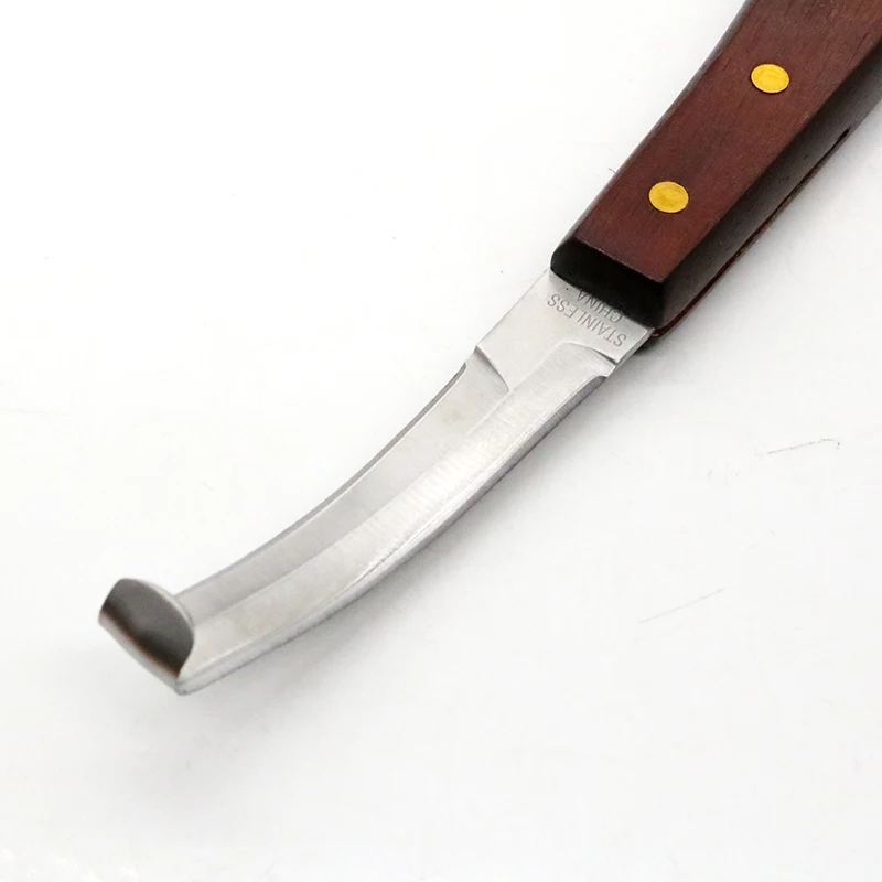 Coltello per zoccoli da cavallo 1 Pc coltelli per rifinire lo zoccolo con lama a doppio bordo in acciaio inossidabile con manico in legno strumento