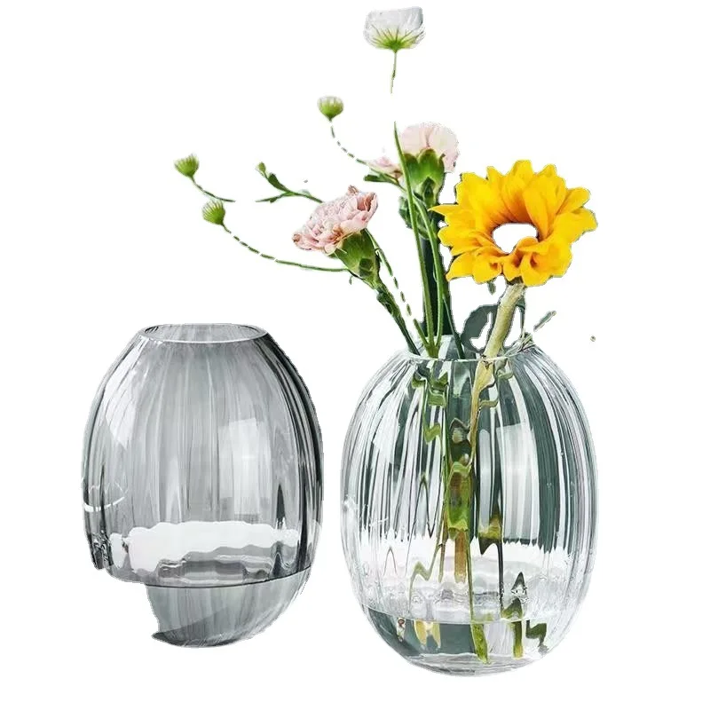 Simple Glass Vase Decoration Glass Transparent Water Raised Flowers Living Room Table Decoration Flower Arrangement