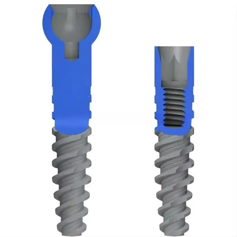 Surface Pure Titanium Dental Fixture Abutment Surgical Kit for Oral Restoration