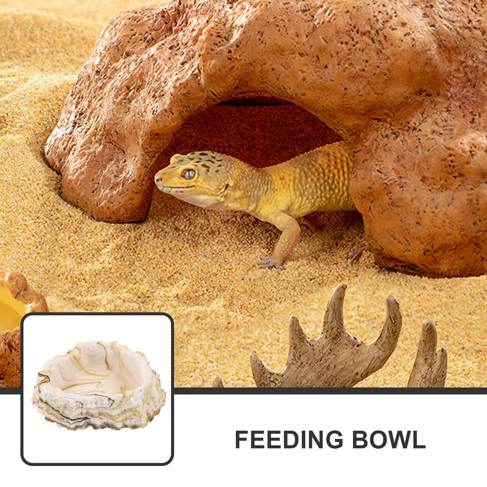 

Resin Rock Feeding Bowl Stable Durable Reptile Tank Feeder Reptile Water Bowl Terrarium Feeding Dish Tortoise Water Dish