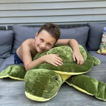 8 最佳銷售 海龜 - №5