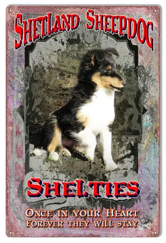 Shelties Once In Your Heart Reproduction Metal  Sign 12×18